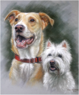Lab mix and west highland white terrier dog portrait