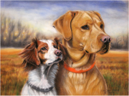 Labrador Retriever and Brittany Spaniel Dog Portrait